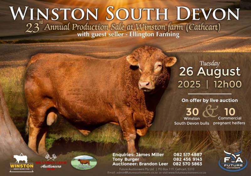 Screenshot 2025-08-12 at 13.47.00