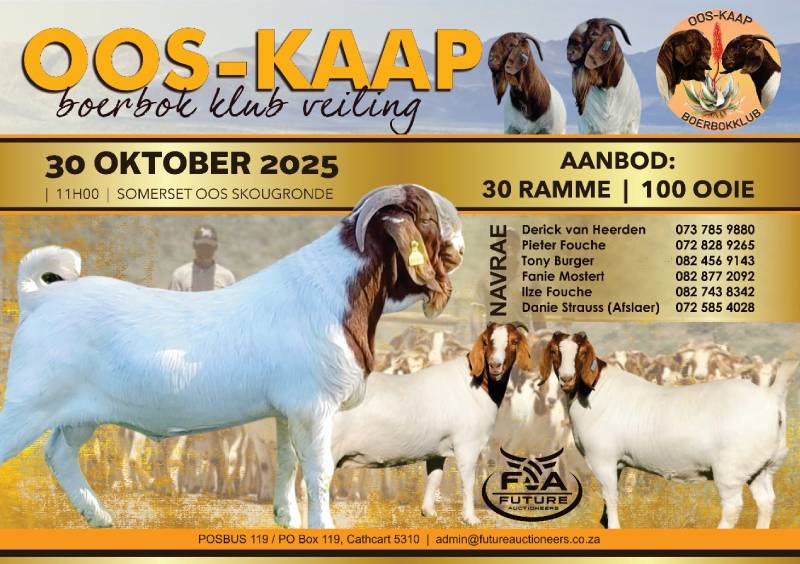 WhatsApp Image 2025-09-23 at 11.14.43