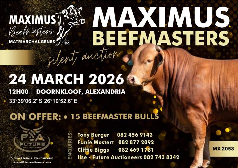 WhatsApp Image 2025-10-14 at 10.28.34