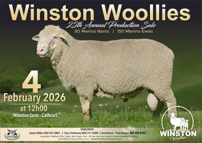 WhatsApp Image 2025-12-05 at 14.21.07_res